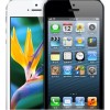 Apple 苹果 iPhone 5（16G）3G（GSM/WCDMA）