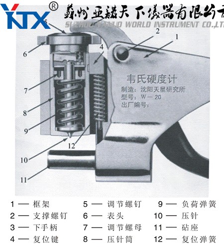 韦氏结果图.jpg